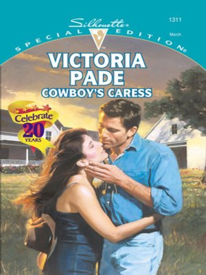 cover image of Cowboy's Caress